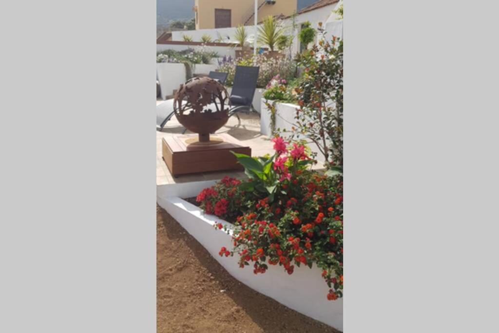 Casa Vina: A Spectacular Away From It All Holiday La Orotava Exteriér fotografie