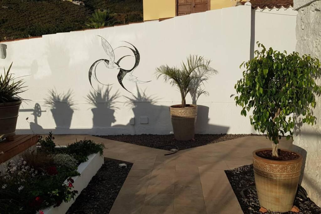 Casa Vina: A Spectacular Away From It All Holiday La Orotava Exteriér fotografie