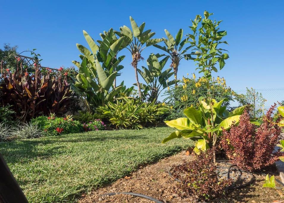 Casa Vina: A Spectacular Away From It All Holiday La Orotava Exteriér fotografie