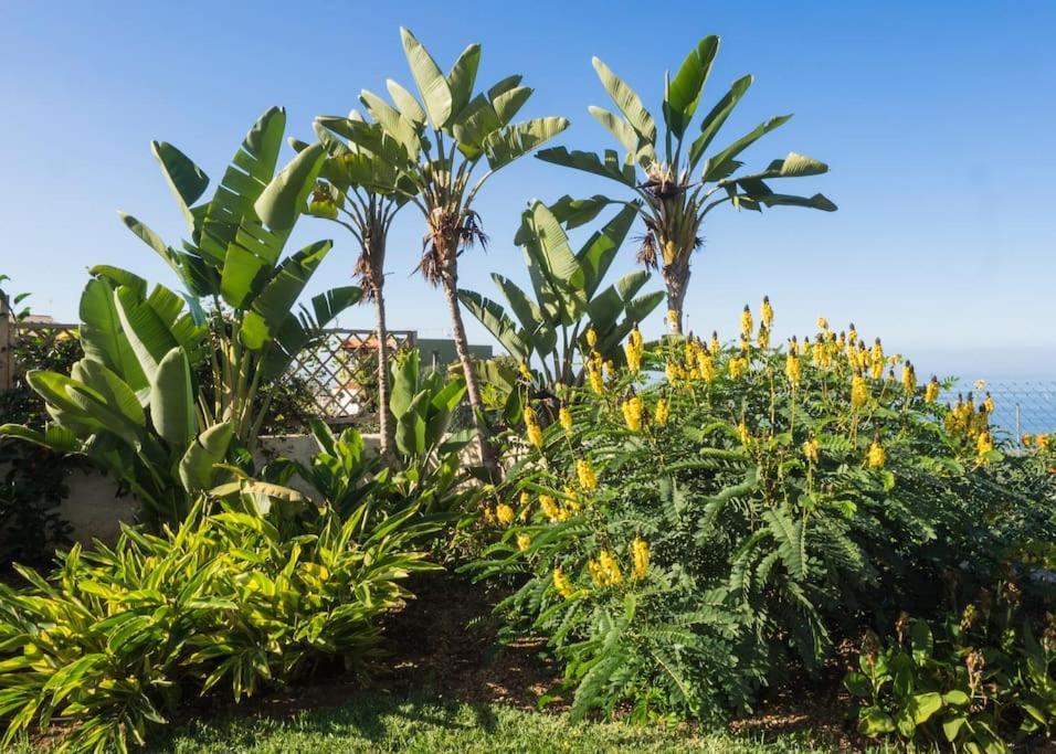 Casa Vina: A Spectacular Away From It All Holiday La Orotava Exteriér fotografie