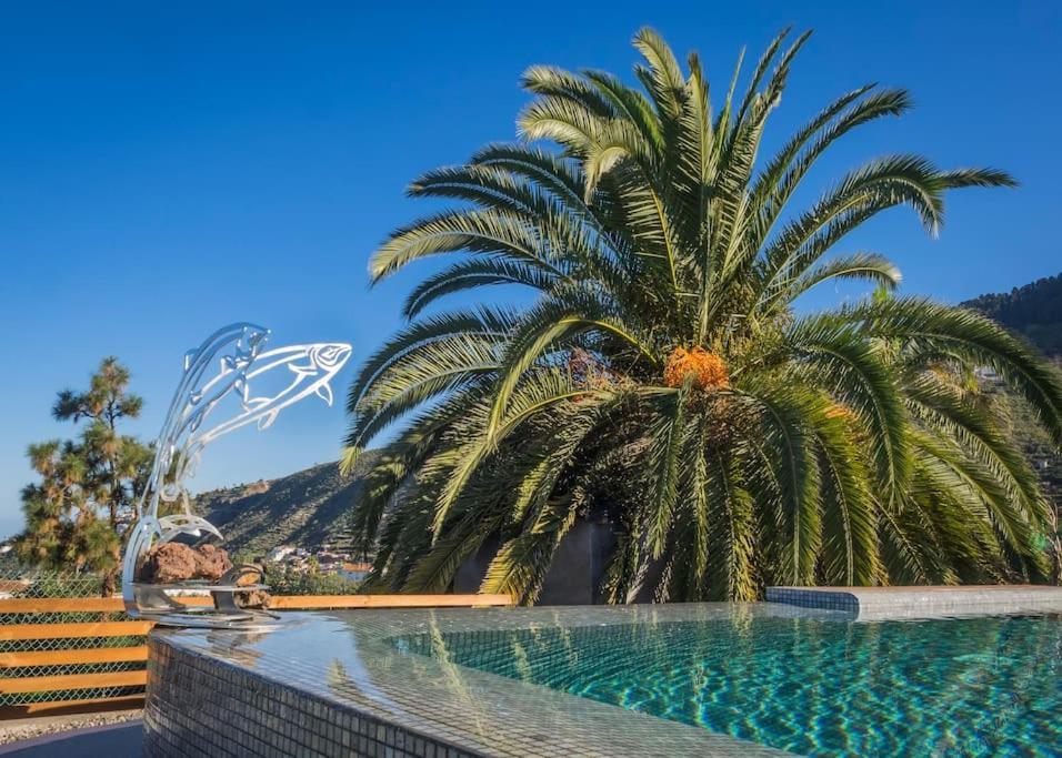 Casa Vina: A Spectacular Away From It All Holiday La Orotava Exteriér fotografie