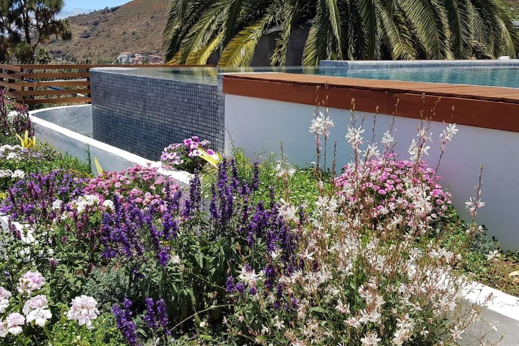 Casa Vina: A Spectacular Away From It All Holiday La Orotava Exteriér fotografie